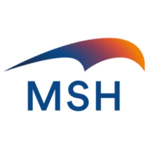 MSH International