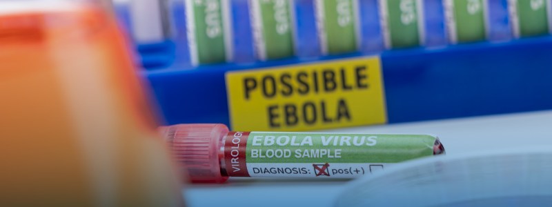 ebola hanta virus